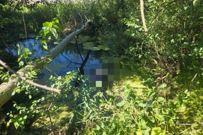 небольшой водоем