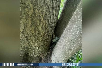 Сверток с наркотиком