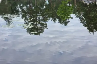 Вода в водоеме