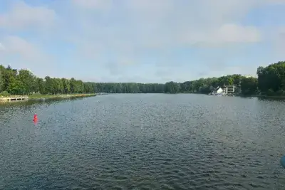 Водоем и деревья