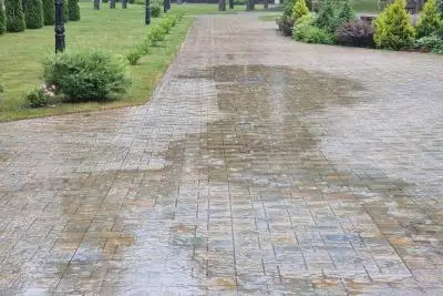 дождь в парке