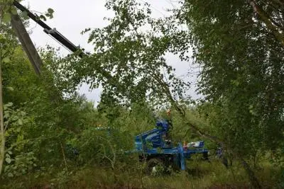 автомобиль в лесу