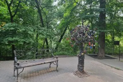 скамейка в парке