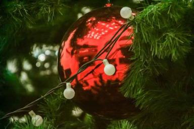 Новогодняя елка в Минске вошла в топ-5 елок по высоте в СНГ