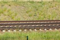В Дании шесть человек погибли в результате аварии на железной дороге