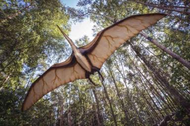 Ученые: тропические джунгли до сих пор могут населять динозавры