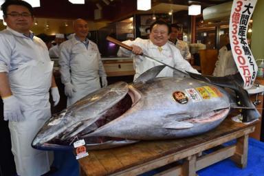 В Японии продан тунец за рекордные $3,1 млн