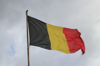 В Бельгии предложили запретить миграцию на 10 лет