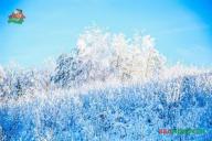 Январь в Беларуси будет холоднее нормы