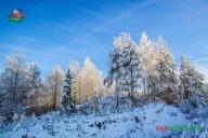 В Гомельской области развернулась кампания Мороз