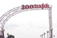 Скульптуры из снега и льда установят в Минском зоопарке в феврале