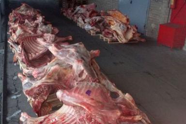 Витебские таможенники задержали на границе фуру с небезопасным мясом 