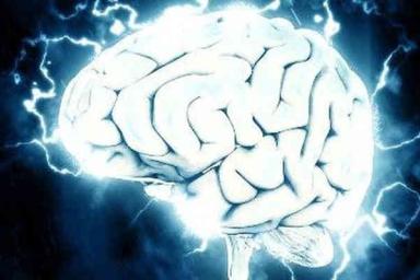 Ученые предложили новую теорию работы мозга