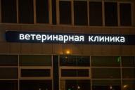 В Барановичском районе умер пойманный рысенок