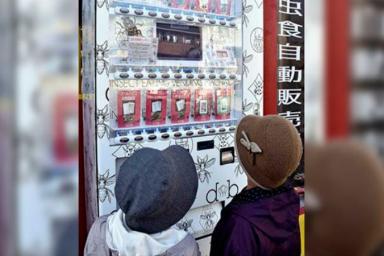 В Японии появился торговый автомат с пауками и жуками-носорогами