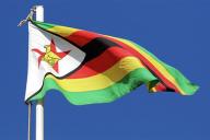 Беларусь и Зимбабве могут выйти на масштабное экономическое сотрудничество  