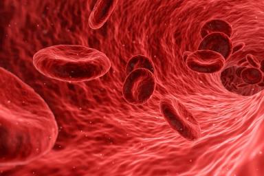 Ученые впервые вырастили кровеносные сосуды человека в лаборатории