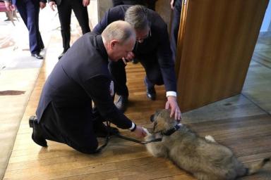 Президент Сербии подарил Владимиру Путину щенка 