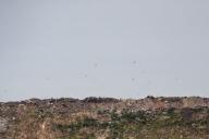 При сортировке мусора на заводе в Гродно нашли гранату