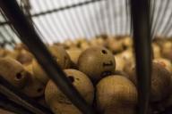 В Беларуси запустили новую лотерею