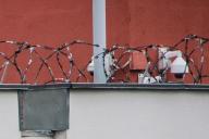 В Витебске с поличным задержали вора, совершившего серию краж из автомобилей