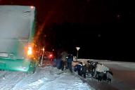 ДТП под Гродно: перевернулся бус с людьми