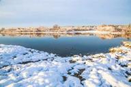 В Гродно спасатели сняли собаку с плывущей по Неману льдины