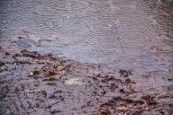 В Бразилии число погибших при прорыве дамбы возросло до 65