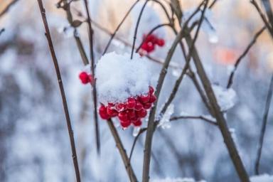В Болгарии и Румынии бушует снежный шторм