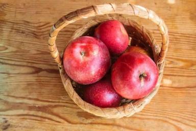 В России уничтожили более 19 тонн яблок, ввезенных из Беларуси