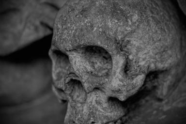 Найден 35000-летний череп современного человека