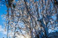 Как весной. Погода на выходные