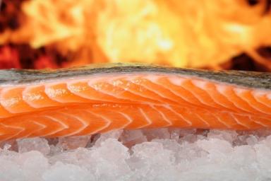 Исследователи: морепродукты провоцируют ожирение