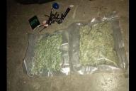 Минчанин выращивал дома более 30 кустов конопли