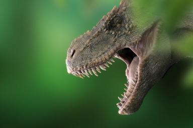 Останки нового вида динозавра нашли в Аргентине
