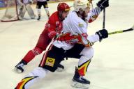 ХК «Гомель» могут дисквалифицировать