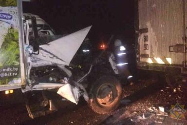 Два грузовика столкнулись в Слуцком районе: работники МЧС спасли водителя