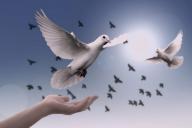 Исследования мозга доказали: религия и духовность – ключи к свободе от депрессии