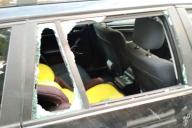 Лось протаранил легковушку под Гродно