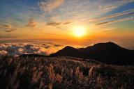 Ученые рассказали, какой год будет самым жарким