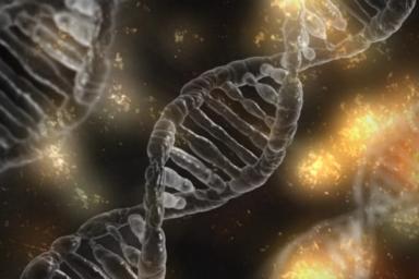 Ученые обнаружили неизвестных предков человека по геному