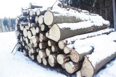Еще одного лесоруба убило деревом в Полоцком районе