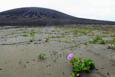 Ученые обнаружили на острове в Тихом океане загадочную грязь