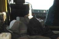 С предприятия в Оршанском районе украли сотни килограмм мяса