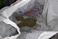 В Бресте в один день задержаны два наркопотребителя