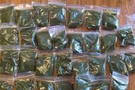 Жителя Гомеля задержали с насваем