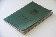 В Минтруда рассказали, кого чаще всего ищут наниматели