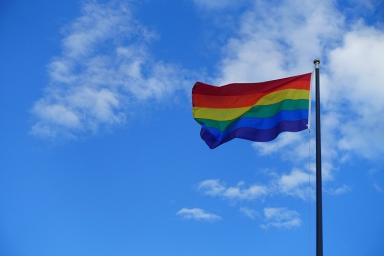 В Японии 13 однополых пар подали в суд на правительство