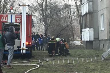 Пожар в Минске. Из загоревшейся квартиры спасатели вынесли собаку