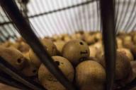 Женщина выиграла в лотерею миллион и от счастья на следующий день родила ребенка